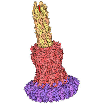 澳洲幸运5官网开奖结果号码-168历史记录查询频道 PDB Molecule of the Month